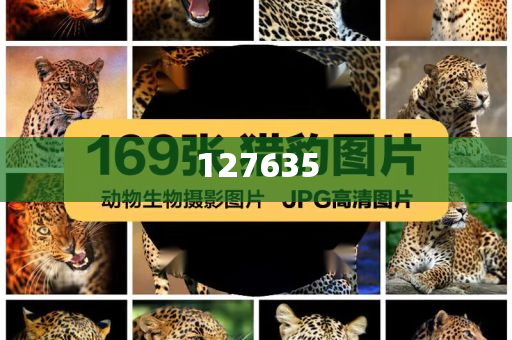 精準(zhǔn)新傳真，揭秘?cái)?shù)字組合7777788888的神秘面紗，揭秘?cái)?shù)字組合7777788888的神秘面紗，精準(zhǔn)新傳真解讀