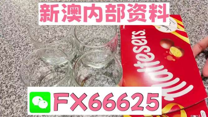 新奧正版免費(fèi)料大全，探索與獲取，新奧正版免費(fèi)料大全，探索與獲取之旅