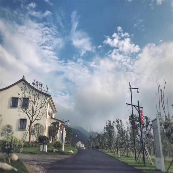 新奧今晚開(kāi)一肖一特講解詞語(yǔ)，揭秘生肖與特肖的獨(dú)特魅力，揭秘生肖與特肖的獨(dú)特魅力，新奧今晚一開(kāi)一特講解詞語(yǔ)