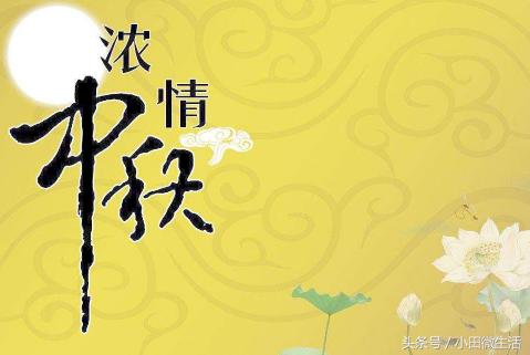 天天開好彩免費資料大全——你不可錯過的幸運之門，天天開好彩免費資料大全——開啟幸運之門的必備指南