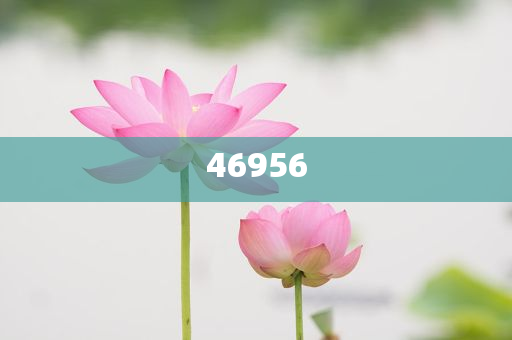 新奧集團，邁向2025，天天開好彩的愿景與挑戰(zhàn)，新奧集團邁向2025，實現(xiàn)天天開好彩的愿景與挑戰(zhàn)