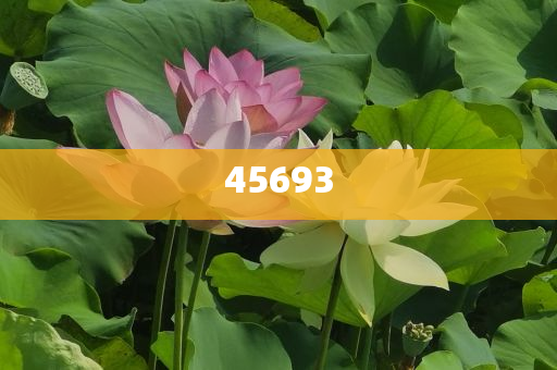 7777888888精準(zhǔn)新管家
