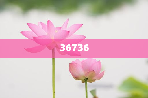 揭秘精準(zhǔn)新傳秘籍，7777788888免費策略與SEO優(yōu)化，揭秘精準(zhǔn)新傳秘籍，免費策略與SEO優(yōu)化指南