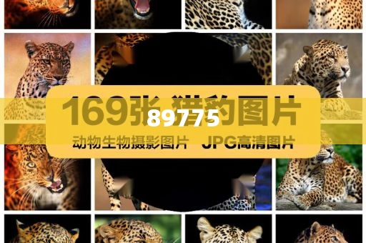 關(guān)于新奧歷史開獎(jiǎng)記錄的最新信息，今天公布了嗎？，新奧歷史開獎(jiǎng)記錄最新信息公布了嗎？