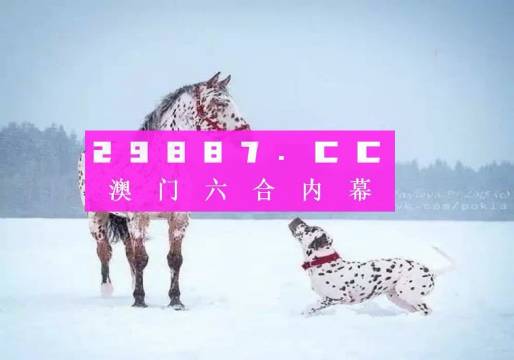 澳門一肖一碼狀元紅，揭秘彩票背后的秘密與策略，澳門彩票揭秘，狀元紅背后的秘密與策略解析