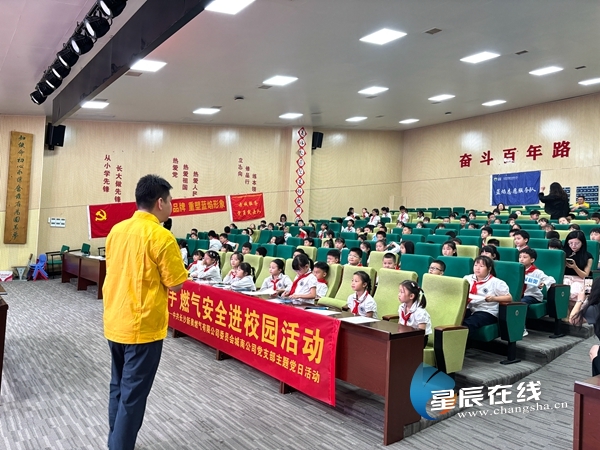 新奧49正版資料，探索與解析，新奧49正版資料深度探索與解析