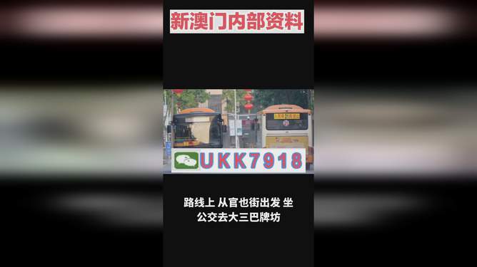 揭秘澳門今晚開獎(jiǎng)號(hào)碼，預(yù)測(cè)與策略走向，澳門今晚開獎(jiǎng)號(hào)碼揭秘與預(yù)測(cè)策略走向探討