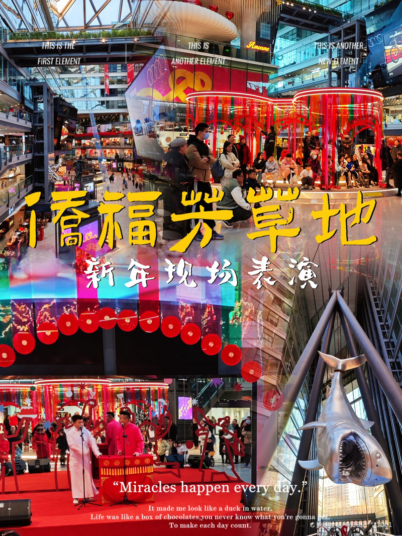 最新揭秘，2024新澳芳草地全方位資料詳解，揭秘2024新澳芳草地全方位資料，最新詳解