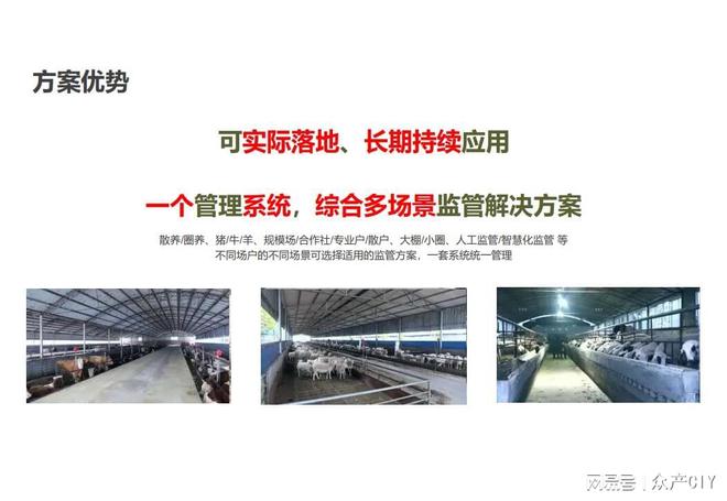 探索新澳芳草地，正版資料的免押之旅（2025年最新資訊），探索新澳芳草地，正版資料免押之旅（最新資訊）