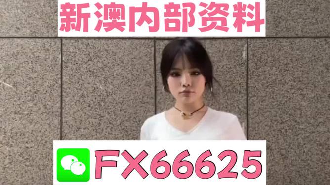 澳門資料大全正版資料查詢，探索澳門的文化與歷史深度之旅，澳門文化與歷史深度探索，正版資料大全及查詢指南