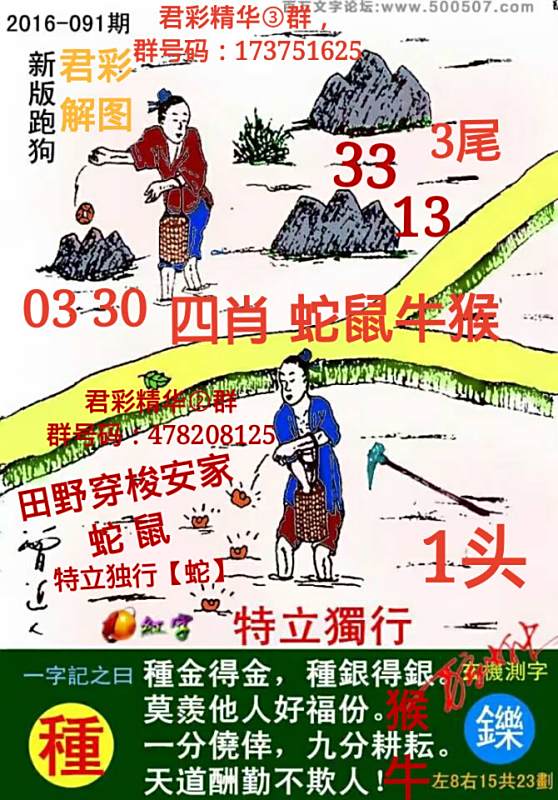 揭秘7777788888精準新跑狗圖，全方位解讀其背后的秘密，揭秘新跑狗圖7777788888，全方位解讀背后的真相與秘密