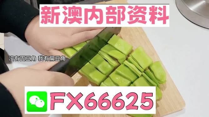 新澳精準(zhǔn)資料免費(fèi)提供，探索與解析，新澳精準(zhǔn)資料解析與探索，免費(fèi)提供的深度解讀