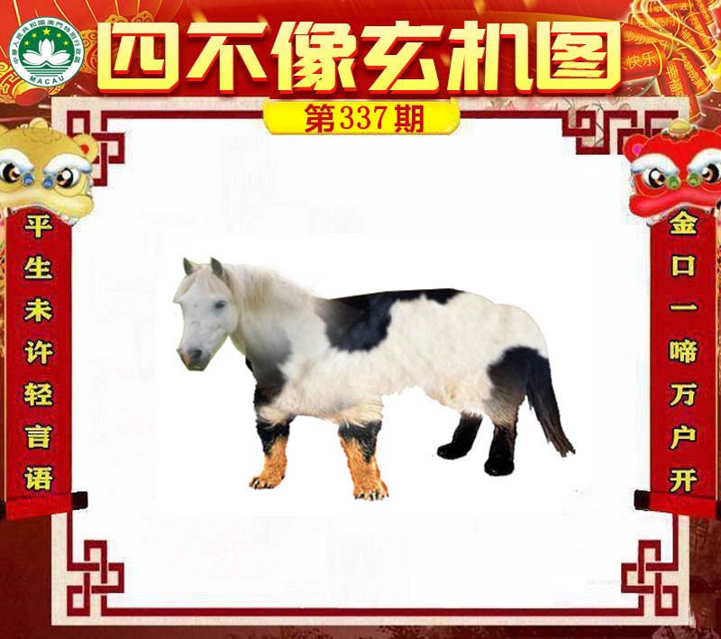 王中王一肖必中四不像，揭秘彩票背后的秘密與策略，揭秘彩票背后的秘密與策略，王中王一肖四不像彩票解析