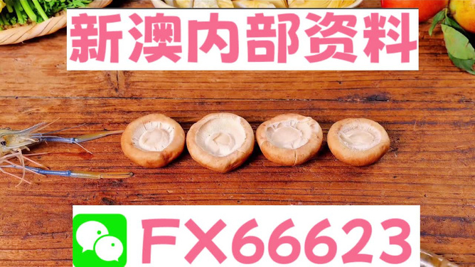 新澳正版資料免費提供，全面解析與深度探索，新澳正版資料全面解析與深度探索，免費提供的指南