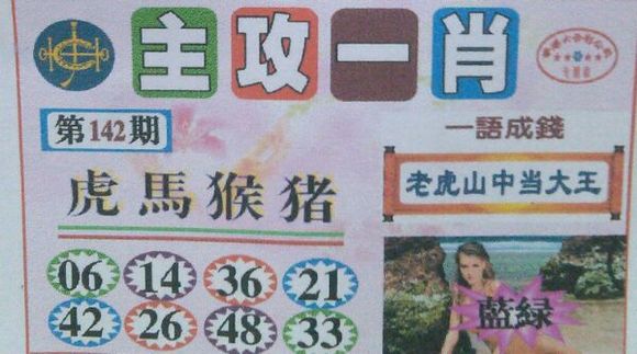 王中王號碼一肖，揭秘背后的秘密與策略，揭秘王中王號碼一肖背后的秘密與策略之道