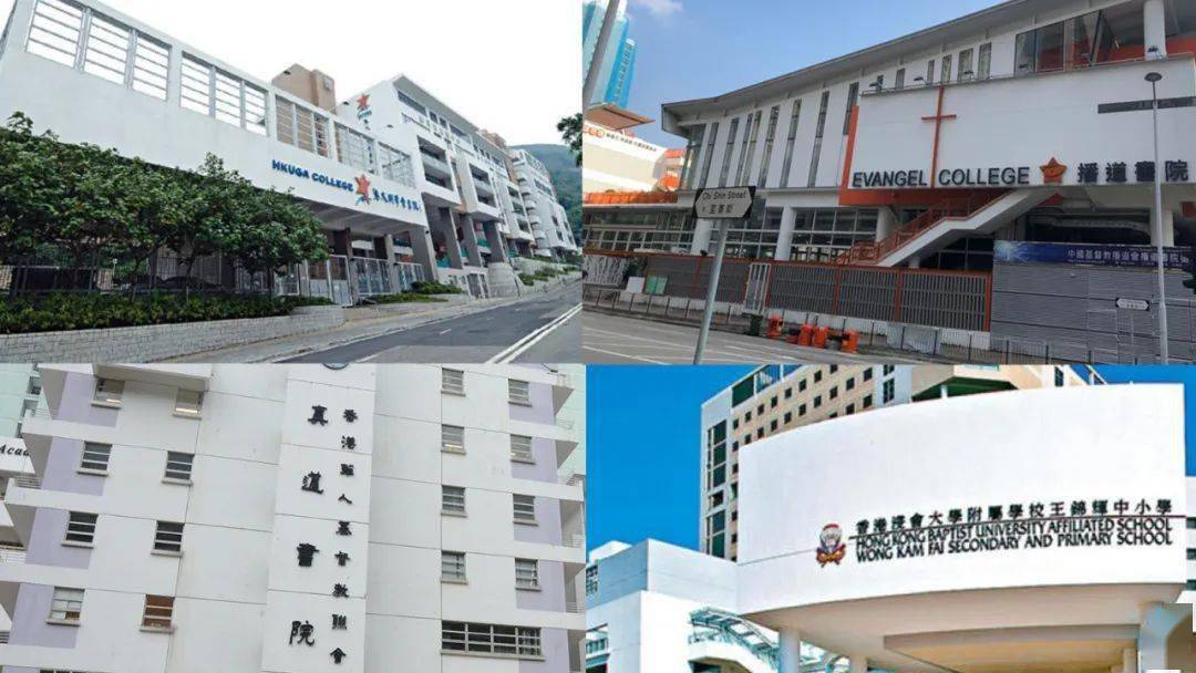 香港免費公開資料大全——探索無盡的資源寶庫，香港免費公開資料大全，資源寶庫深度探索