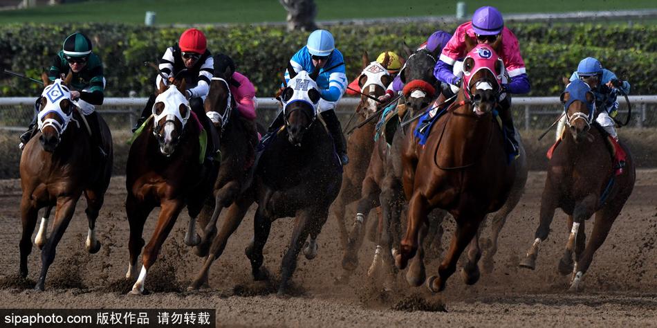 王中王內(nèi)部必中一肖——揭秘彩票背后的秘密，揭秘彩票王中王內(nèi)部必中一肖的神秘秘密
