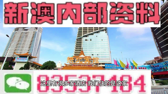 2025新澳正版資料精準解析與預測，2025新澳正版資料精準解析與趨勢預測