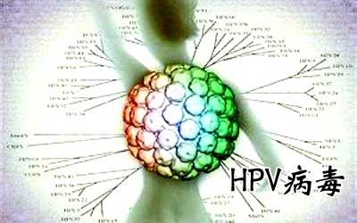 HPV病毒能否徹底清除？深度解析與應(yīng)對策略，深度解析HPV病毒能否徹底清除，應(yīng)對策略及應(yīng)對方法