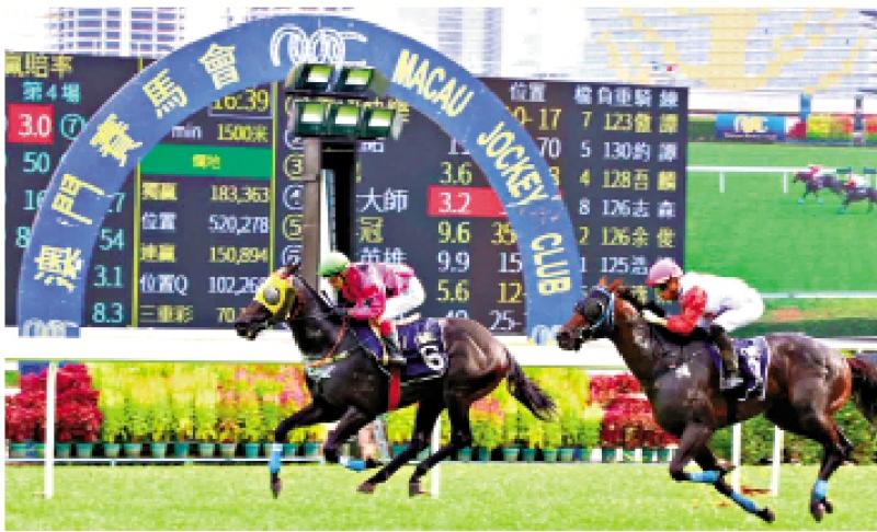 澳門賽馬會(huì)，歷史、文化與激情的交融，澳門賽馬會(huì)，歷史、文化與激情的盛會(huì)