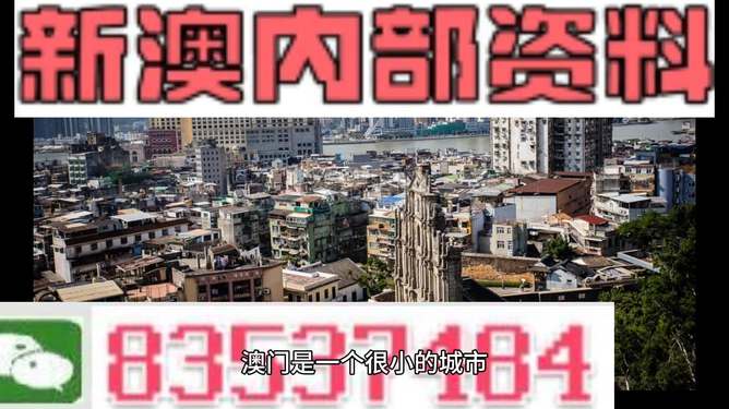 新澳門精準(zhǔn)四肖期準(zhǔn)，探索背后的秘密與策略，澳門精準(zhǔn)四肖期背后的秘密與策略探索