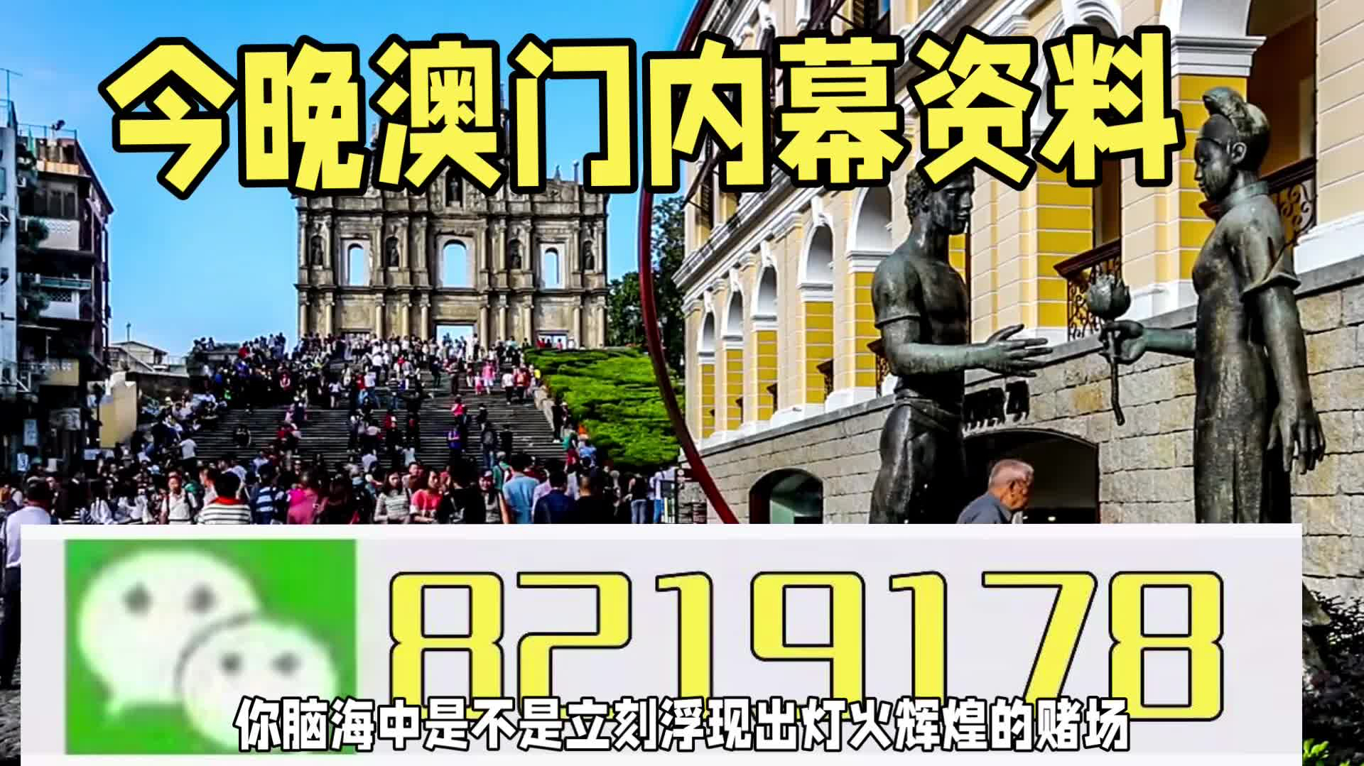 新澳門一肖一特一中，探索與解讀，新澳門一肖一特一中，深度探索與解讀