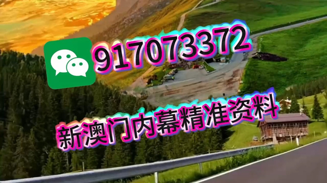 王中王一肖一中特，深度解析與SEO優(yōu)化策略，王中王一肖一中特深度解析與SEO優(yōu)化策略探討