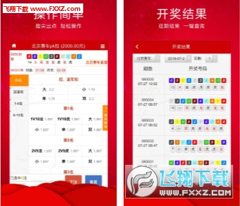 王中王三肖必出一肖