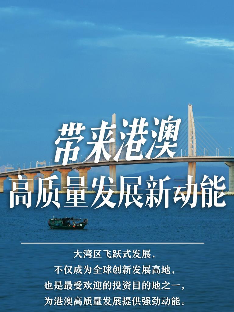 揭秘2025年新澳門必開32期一肖——探尋彩票奧秘與策略，揭秘彩票奧秘，探尋新澳門必開生肖彩票策略與預測（附獨家分析）
