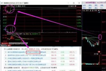 探索300563股吧的獨(dú)特魅力與機(jī)遇，揭秘300563股吧，獨(dú)特魅力與無(wú)限機(jī)遇