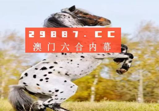 揭秘白小姐王中王四不像圖一，探尋肖中特的神秘面紗，揭秘白小姐王中王四不像圖與肖中特神秘面紗的背后真相