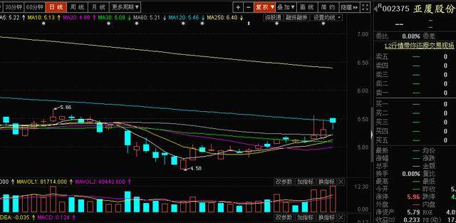 股票300279，深度解析與市場前景展望，股票300279深度解析與前景展望，市場趨勢及策略建議