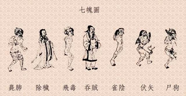 SEO優(yōu)化探討