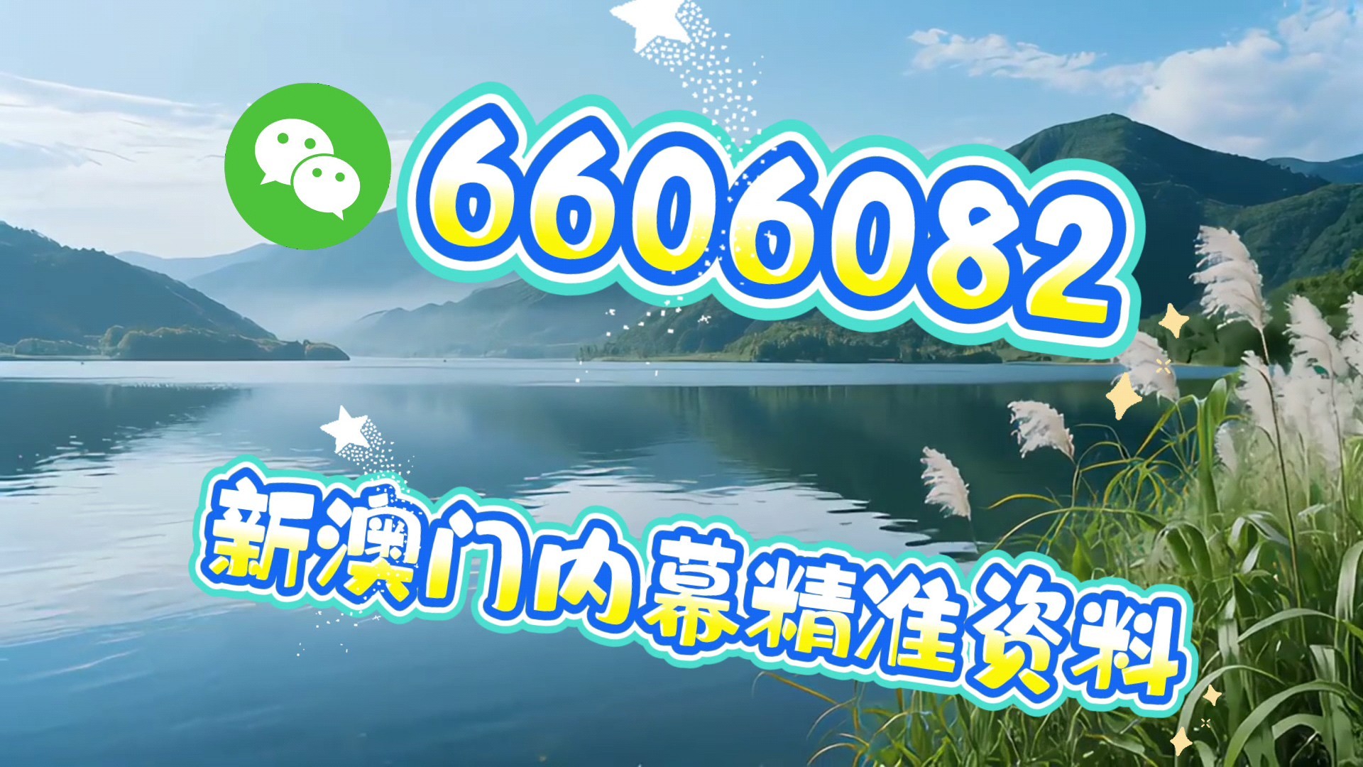 澳門一肖一碼必中一肖，揭秘彩票背后的秘密與策略，澳門彩票揭秘，必中一肖的策略與秘密