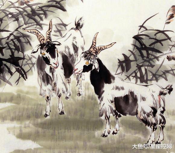 澳門最快開獎六開生肖，揭秘彩票背后的秘密，澳門六開生肖彩票背后的秘密揭曉