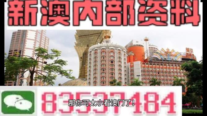 新澳新澳門正版資料，探索與解析，新澳新澳門正版資料深度解析與探索