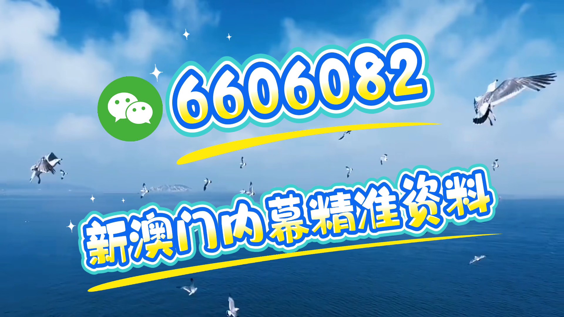 新澳內(nèi)部一碼精準公開