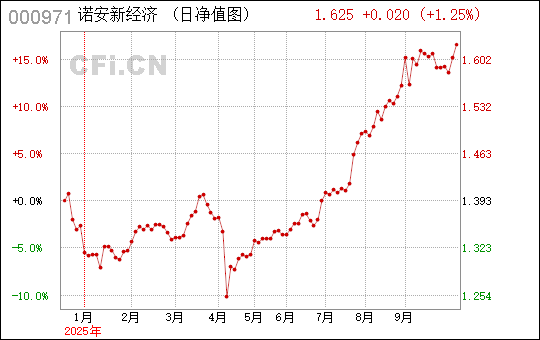 諾安新經(jīng)濟(jì)基金，探索未來經(jīng)濟(jì)的核心力量，諾安新經(jīng)濟(jì)基金，引領(lǐng)未來經(jīng)濟(jì)核心力量探索之旅