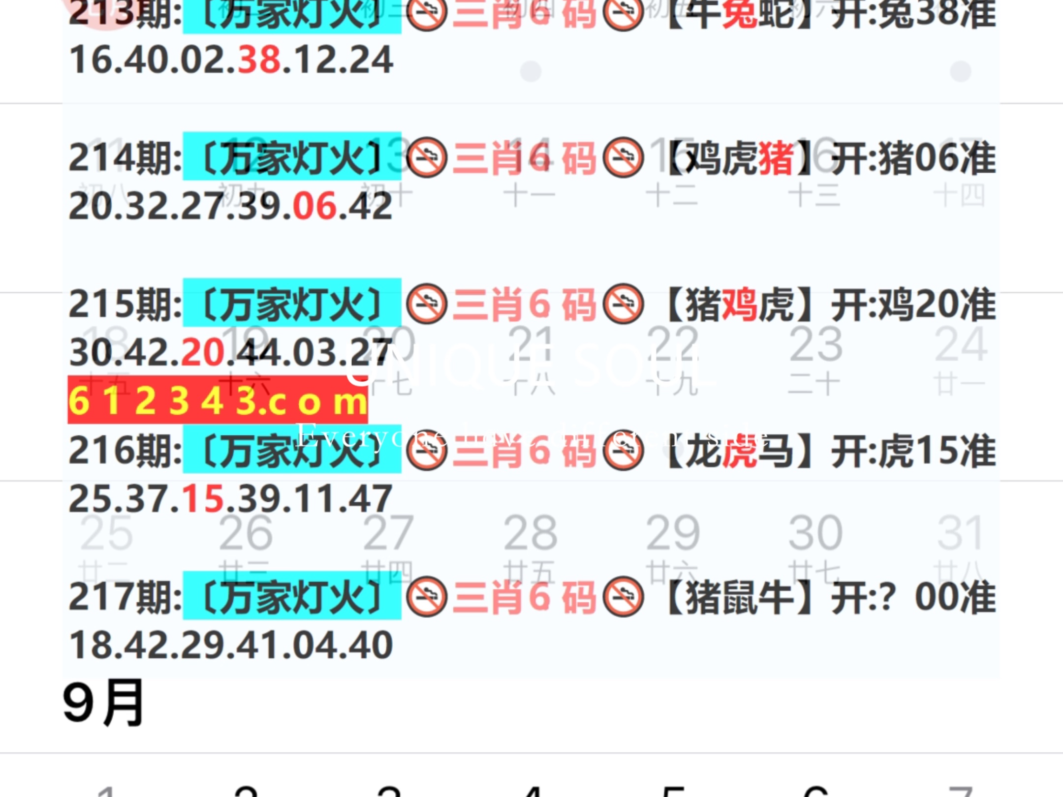 探索未來，揭秘2025年新澳門王中王資料，揭秘未來，新澳門王中王資料探索之旅