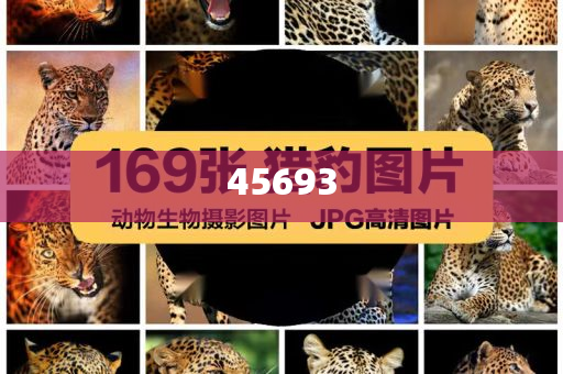 全新升級(jí)，7777888888精準(zhǔn)新管家，全新升級(jí)管家，精準(zhǔn)管理，一站式服務(wù) 7777888888新管家重磅來(lái)襲