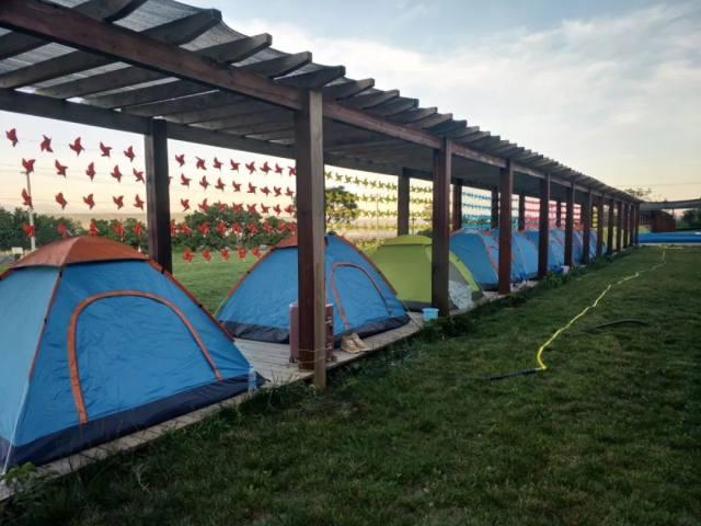 西安親子游最佳方案，西安親子游最佳攻略