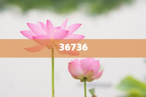 揭秘7777788888精準(zhǔn)新傳真，真相大揭秘，揭秘精準(zhǔn)新傳真背后的真相，77777與88888的神秘面紗被揭開