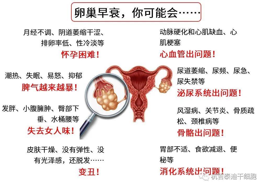 四十歲卵巢早衰能否調(diào)整回來？解讀卵巢早衰與應(yīng)對策略，四十歲卵巢早衰能否調(diào)整回來？解讀卵巢早衰現(xiàn)象及應(yīng)對策略