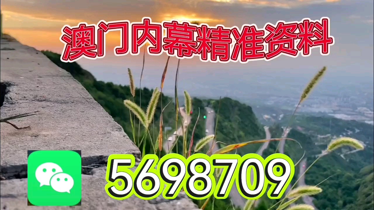 新澳天天開彩資料大全，探索彩票世界的奧秘，探索彩票世界奧秘，新澳天天開彩資料大全