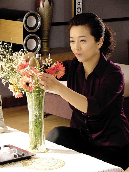 江珊演過(guò)的全部電視劇，演藝之路的璀璨篇章，江珊演藝生涯，璀璨篇章——電視劇作品全回顧