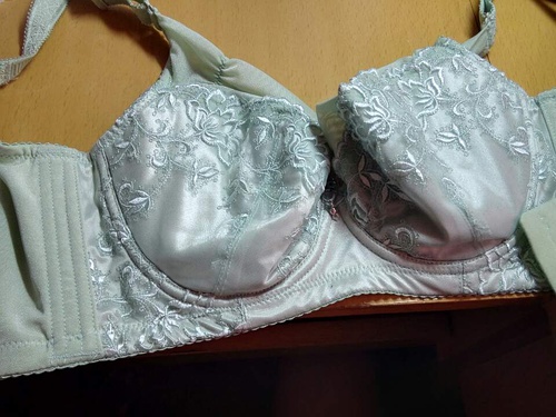 四肖期期誰一王中王——揭秘背后的秘密，揭秘四肖期期王中王背后的秘密
