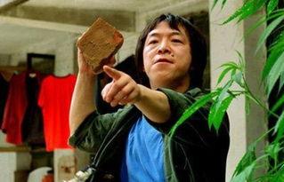 王中王丑中王解一肖，探尋背后的故事與奧秘，探尋王中王丑中王解一肖背后的故事與奧秘