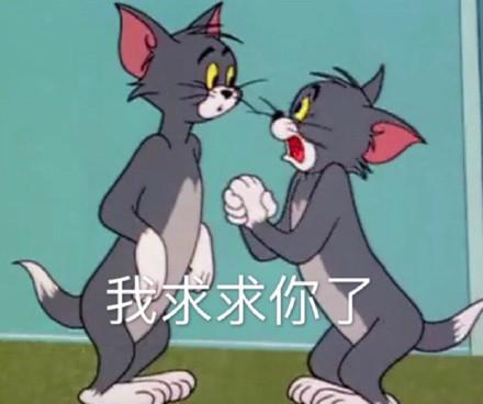 湯姆貓股票股吧，投資熱點(diǎn)與前景展望，湯姆貓股票股吧，投資熱點(diǎn)與未來(lái)前景展望