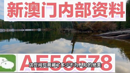 揭秘澳門精準(zhǔn)四不像，預(yù)測(cè)未來的趨勢(shì)與探索（2025展望），澳門精準(zhǔn)四不像揭秘，未來趨勢(shì)展望與探索（2025年預(yù)測(cè)）