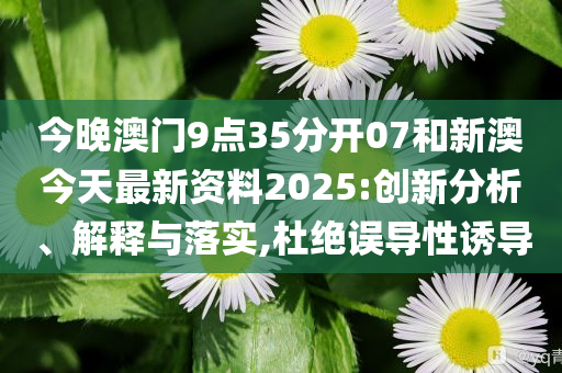 新澳今天最新資料，深度解讀與探索，新澳今日深度解讀與探索最新資料